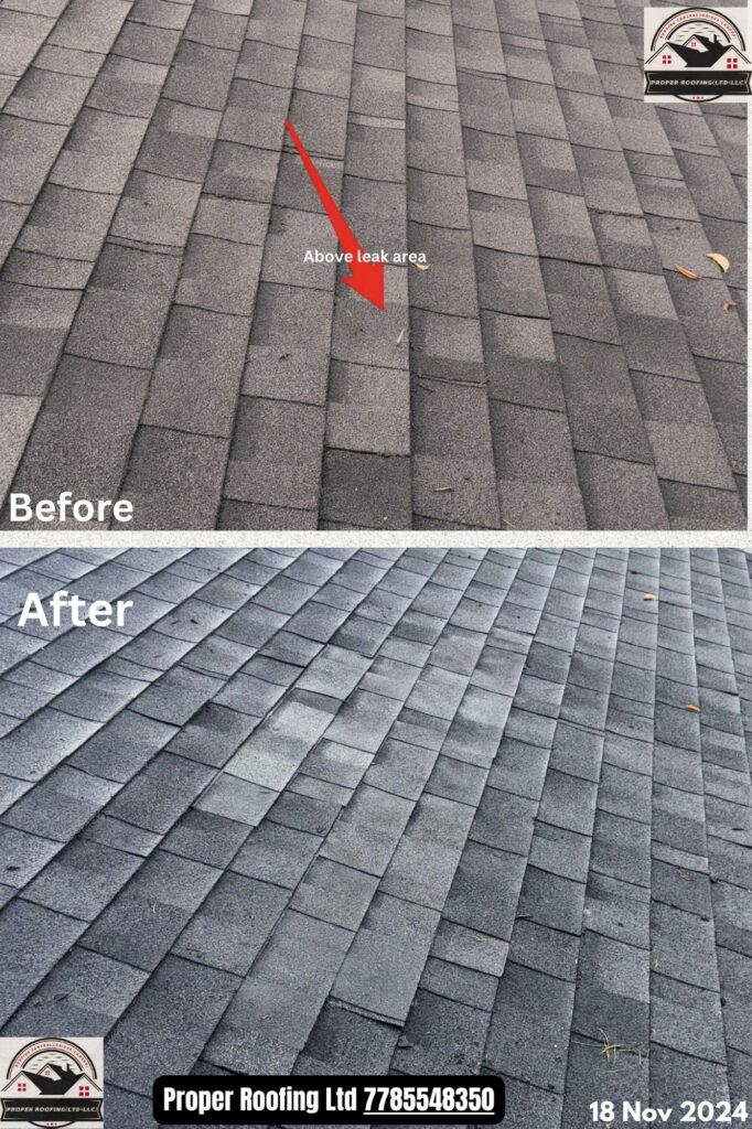 roof-repair