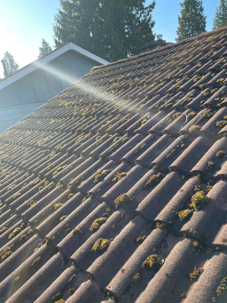 roof replacement costs