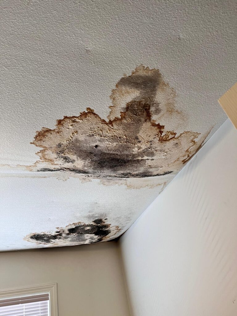 roof-repair-in-coquitlam