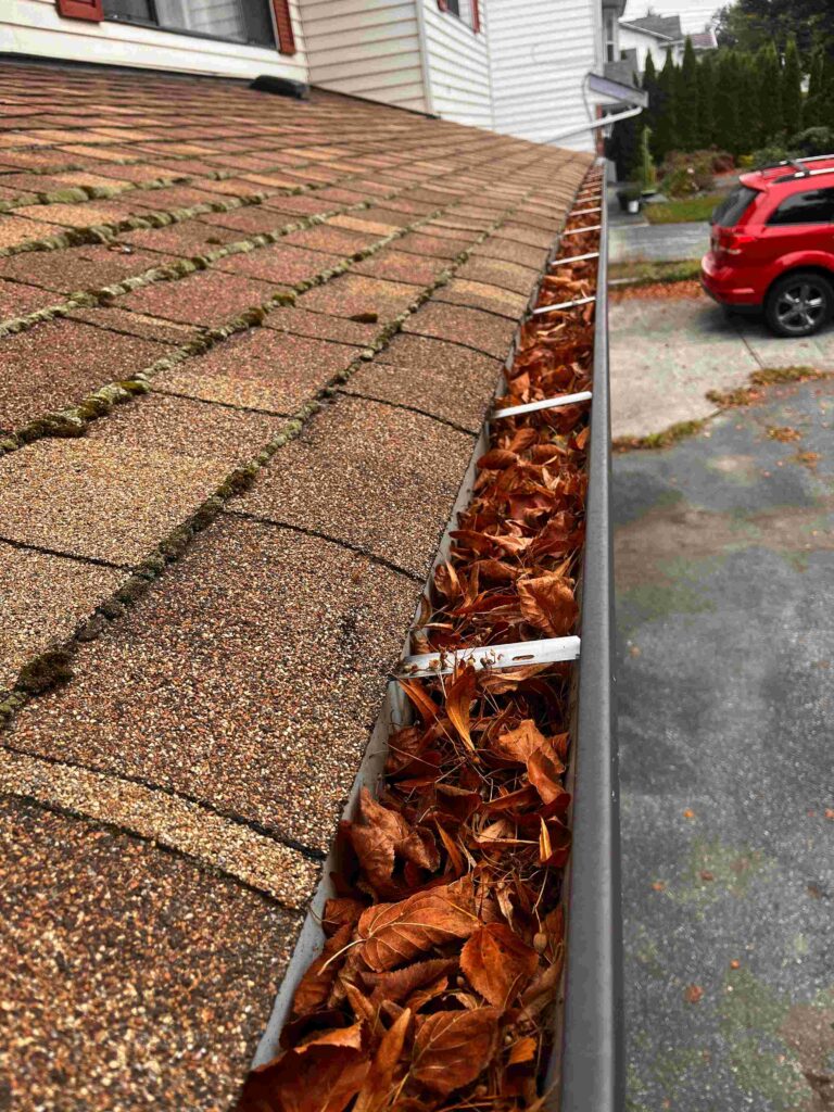 Gutter Cleaning Vancouver