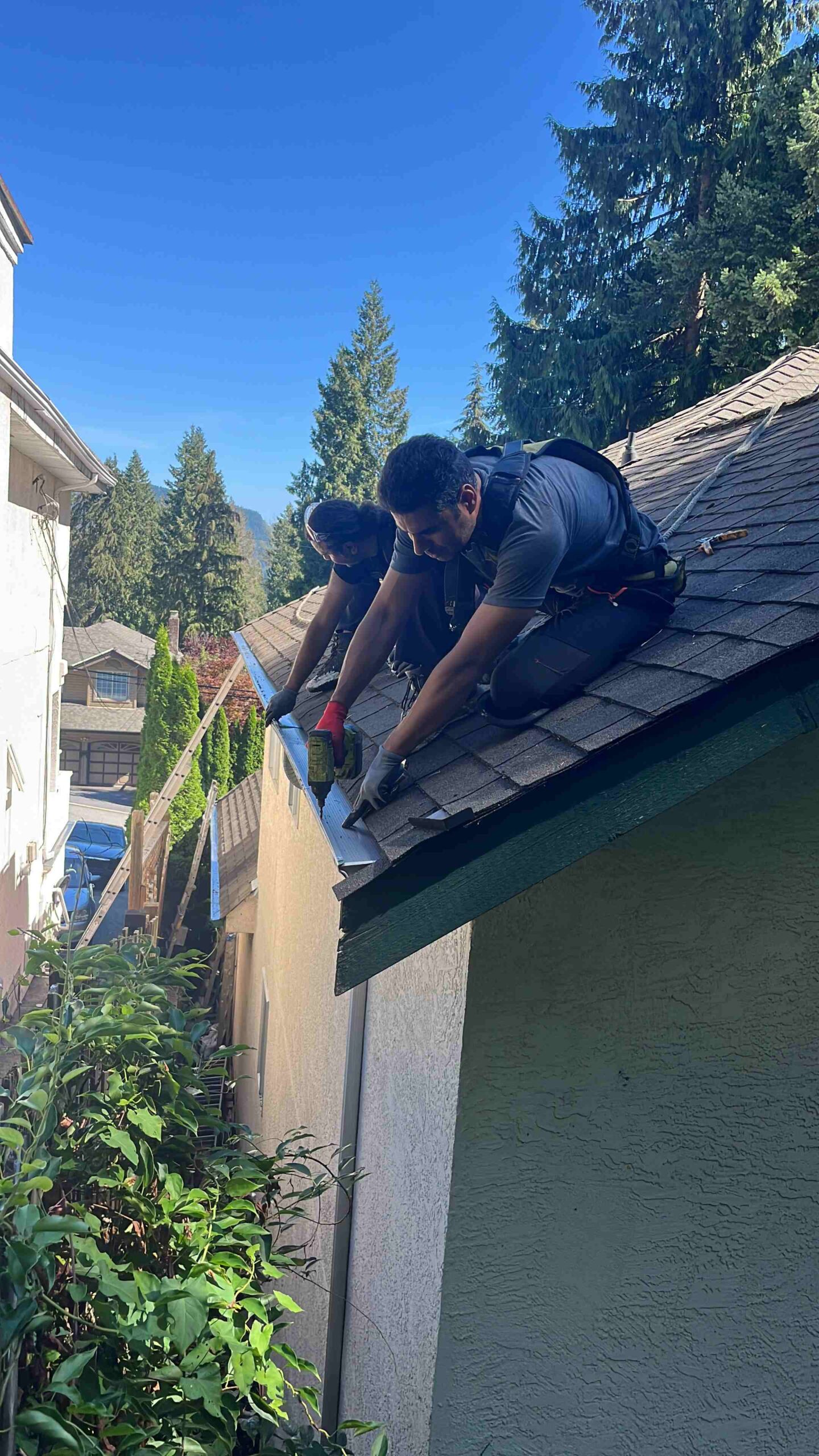 Skylight Installation Coquitlam