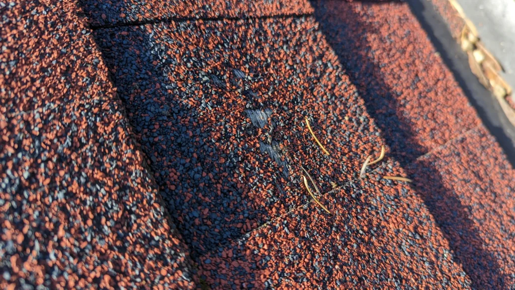 Do Roof Shingles Have Fiberglass